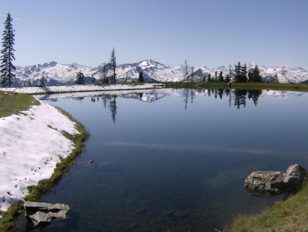 Готель Gaestehaus Gratz - Inklusive Eintritt In Die Alpentherme Дорфгаштайн Екстер'єр фото