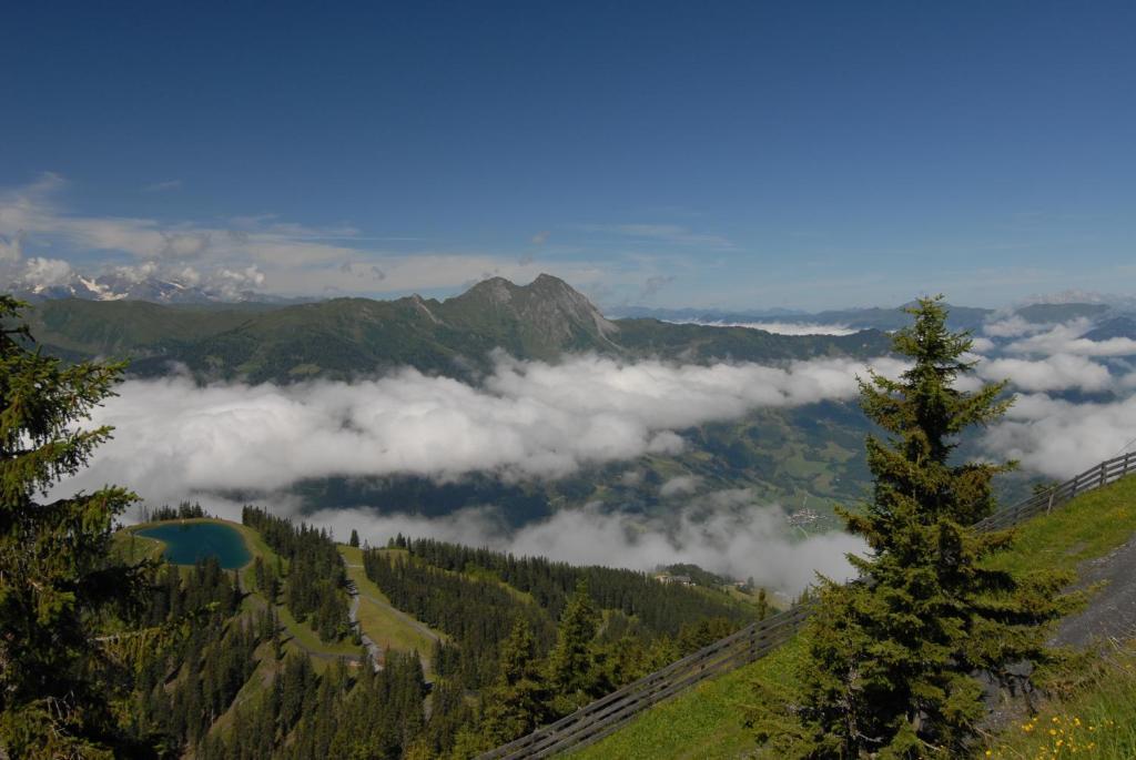 Готель Gaestehaus Gratz - Inklusive Eintritt In Die Alpentherme Дорфгаштайн Екстер'єр фото