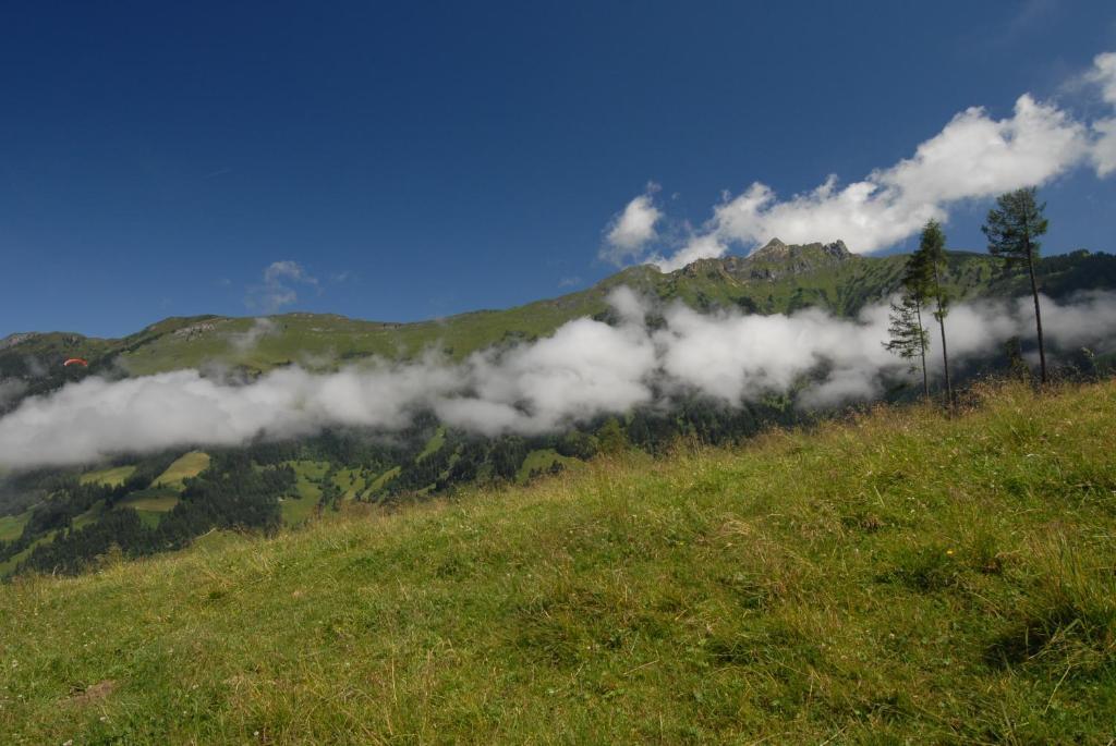 Готель Gaestehaus Gratz - Inklusive Eintritt In Die Alpentherme Дорфгаштайн Екстер'єр фото